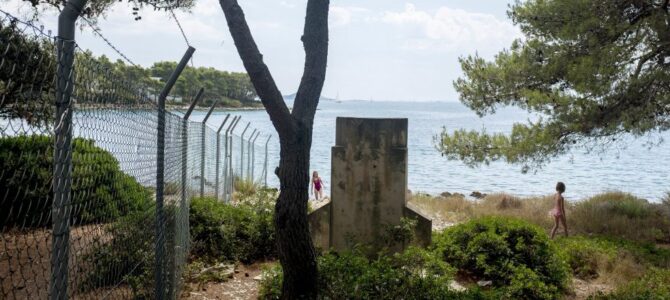 Visual Manifestations of Recent History [Interview with Darije Petković]